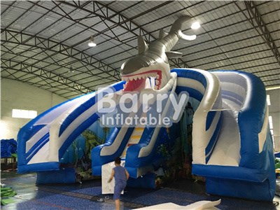 Amazing Sharp Water Slide For Pool Inflatable China Manufacturer BY-WS-080